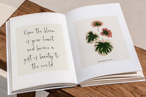 Radiants - Casual Signature Font Font Alpaprana Studio 