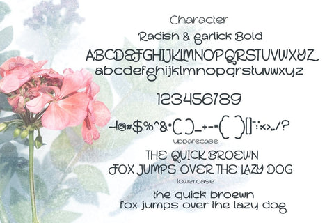 Radish and garlick Font JH-CreativeFont 