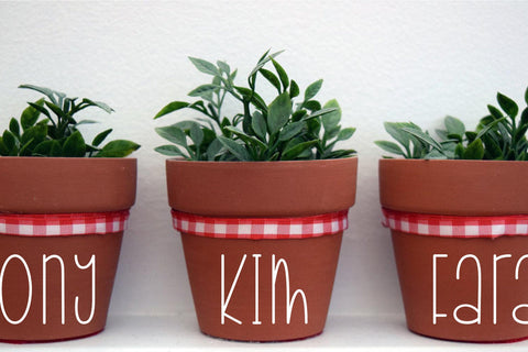 Raemoon Font Font Jimtype Studio 