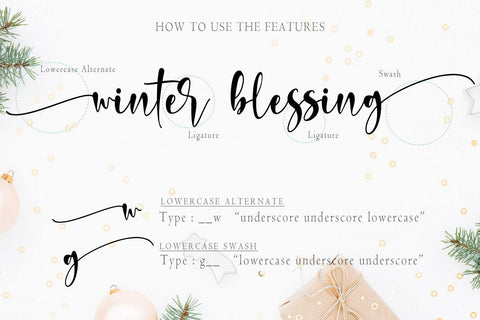 Rafaello Font Stefani Letter 