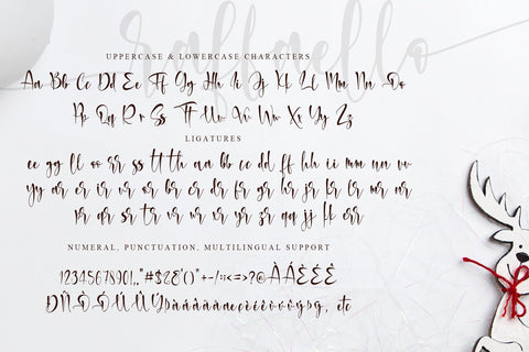 Rafaello Font Stefani Letter 