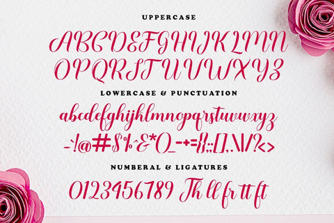 Rafata Font WsStudio 