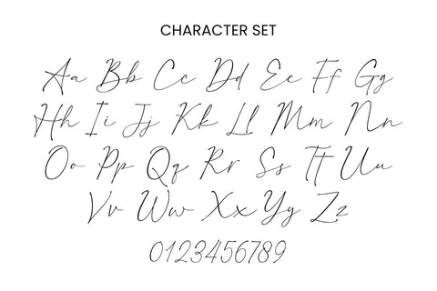 Raffishly - a Modern Script Font Font nhfonts 