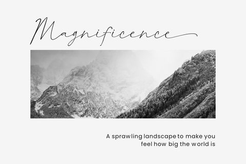 Raffishly - a Modern Script Font Font nhfonts 