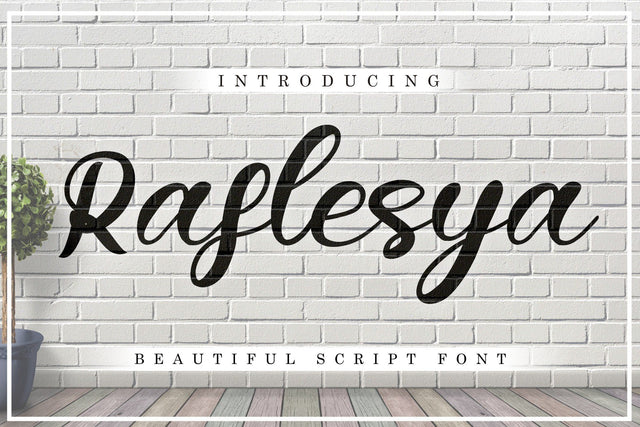 Raflesya Modern Script Font Skiiller_Std 
