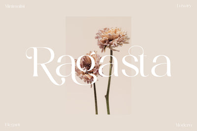 Ragasta Typeface Font Storytype Studio 
