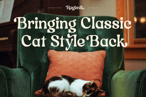 Ragenik Typeface Font Storytype Studio 