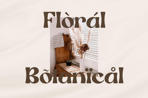 Ragile Typeface Font Storytype Studio 