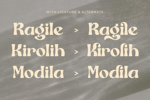 Ragile Typeface Font Storytype Studio 