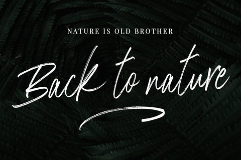 Ragilone Brush Font AngelStudio 