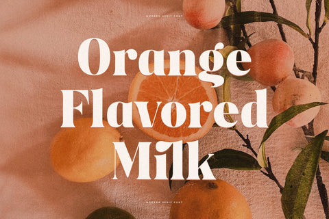 Ragitta Typeface Font Storytype Studio 