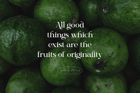 Raglika Typeface Font Storytype Studio 