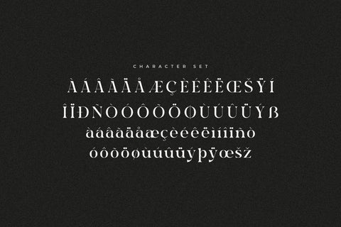 Raglika Typeface Font Storytype Studio 