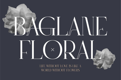 Ragyola Typeface Font Storytype Studio 
