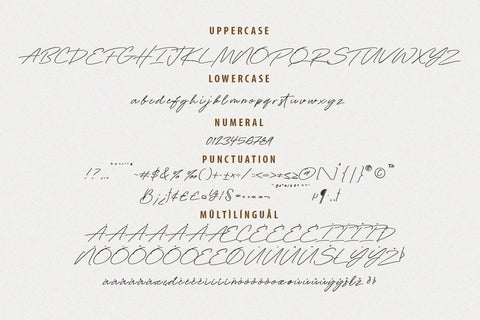 Rahella Signature Script Font Balevgraph Studio 