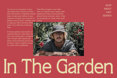 Raider Knight Typeface Font Storytype Studio 