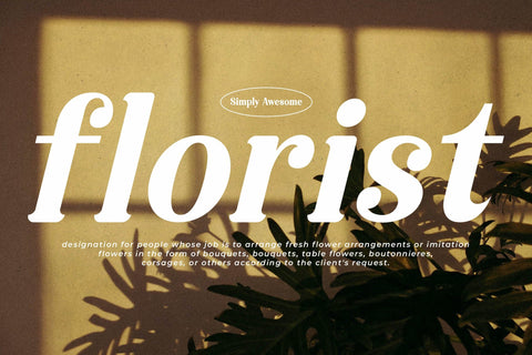 Raillinc Typeface Font Storytype Studio 