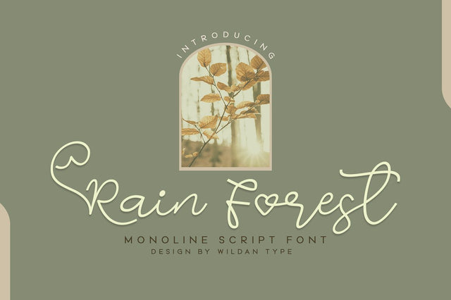 Rain Forest Font Wildan Type 