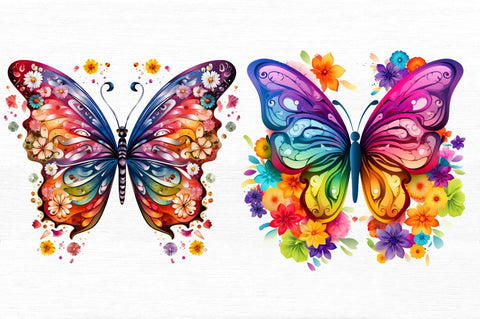 Rainbow Butterfly and Flowers Bundle Sublimation Regulrcrative 