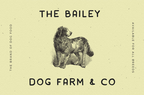Rainday Vintage Retro Font Font Vultype Co 