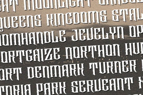 Raizen - Victorian Decorative Font Font StringLabs 