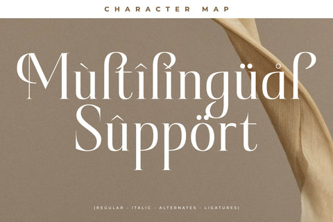 Rakelyn Typeface Font Storytype Studio 