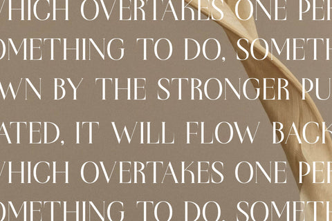 Rakelyn Typeface Font Storytype Studio 