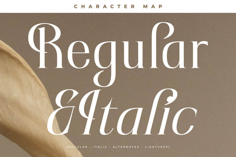 Rakelyn Typeface Font Storytype Studio 