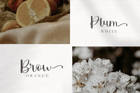 Ralley Font Megatype 