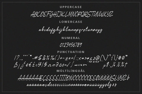 Rallynda Handwritten Brush Script Font Balevgraph Studio 