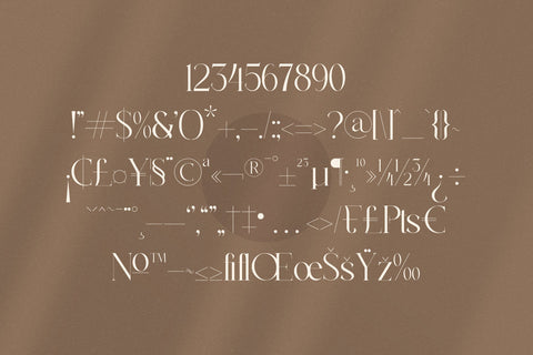 Ramisland Typeface Font Storytype Studio 