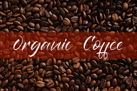 Rampage Brush Font Jun Creative 