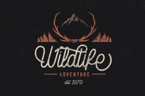 Rampage Monoline Script Font Creatype Studio 