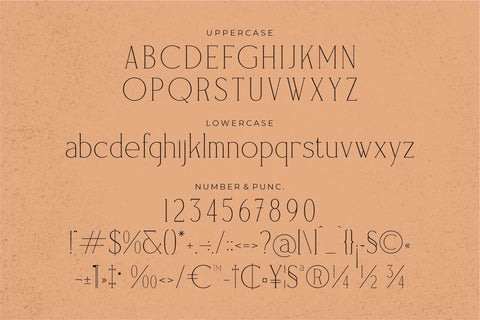 Rampwind Typeface Font Storytype Studio 