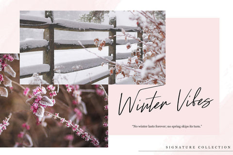 Ramstay - Signature Font Font Dm Letter Studio 