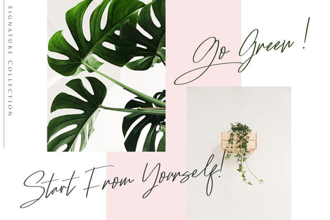 Ramstay - Signature Font Font Dm Letter Studio 