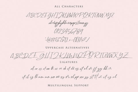 Ramstay - Signature Font Font Dm Letter Studio 