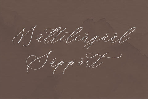 Ramsttale Chelliria - Chic Calligraphy Font Font Storytype Studio 