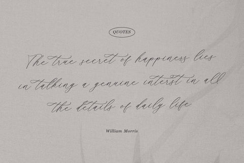 Ramsttale Chelliria - Chic Calligraphy Font Font Storytype Studio 