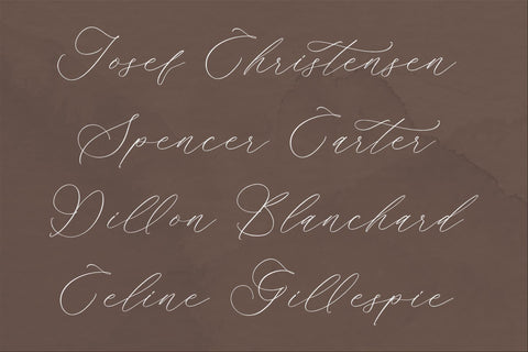 Ramsttale Chelliria - Chic Calligraphy Font Font Storytype Studio 