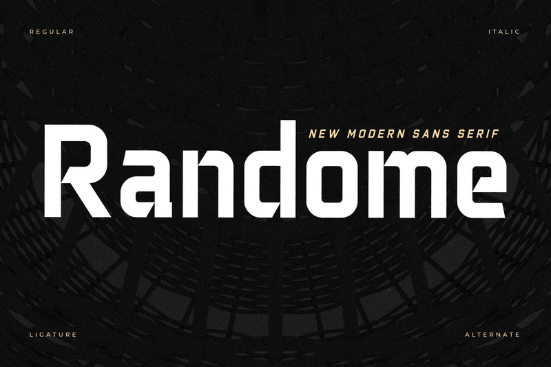 Randome Typeface Font Storytype Studio 