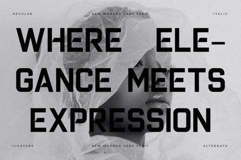 Randome Typeface Font Storytype Studio 