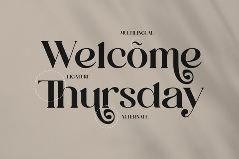 Ranika Typeface Font Storytype Studio 