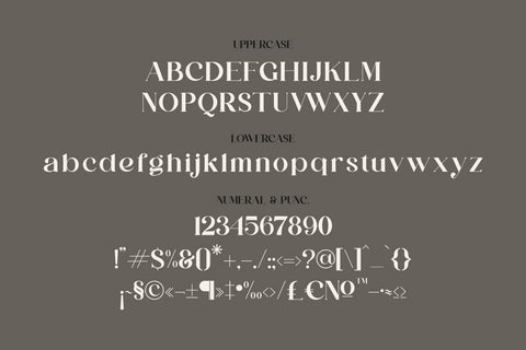 Ranika Typeface Font Storytype Studio 