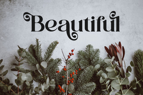 Ranika Typeface Font Storytype Studio 