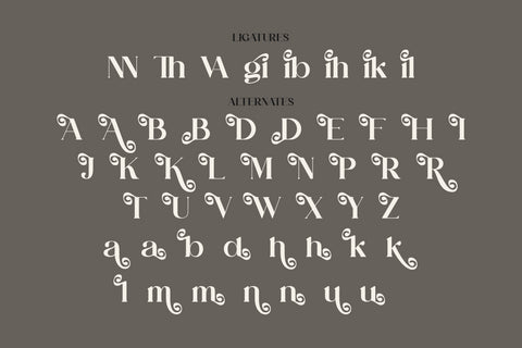 Ranika Typeface Font Storytype Studio 