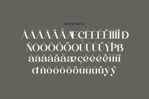 Ranika Typeface Font Storytype Studio 