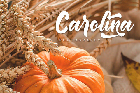 Rantika - Bold Script Font Arterfak Project 