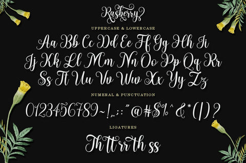 Rasberry Font Suza Studio 