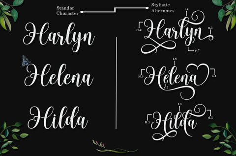 Rasberry Font Suza Studio 